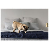 Brolly Sheets Protector PH Large Pet Pad