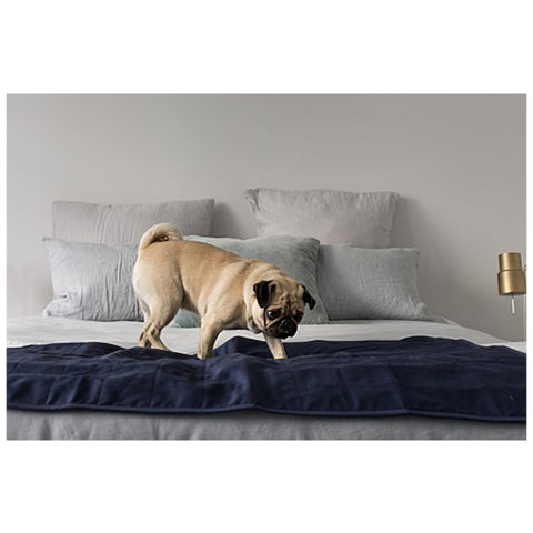 Brolly Sheets Protector PH Large Pet Pad