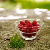 Energy Bowl Cotula